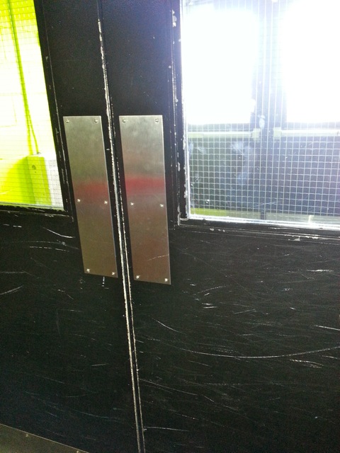 Door with Wired Glass